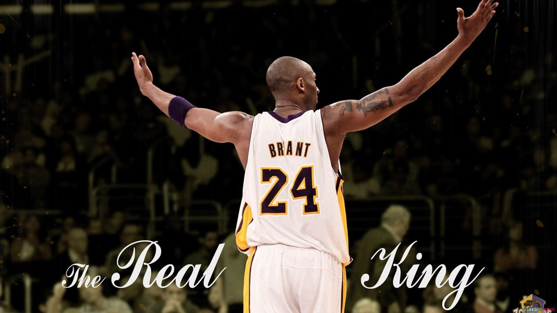 开云体育官方网站-天山风暴席卷南海滩，新疆队横扫热火，米切尔惊艳四座的篮球启示录